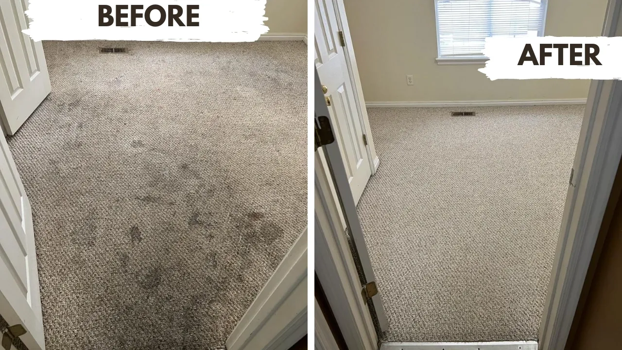 Expert Carpet Cleaning: Unlocking the Secrets with Vital Clean LLC