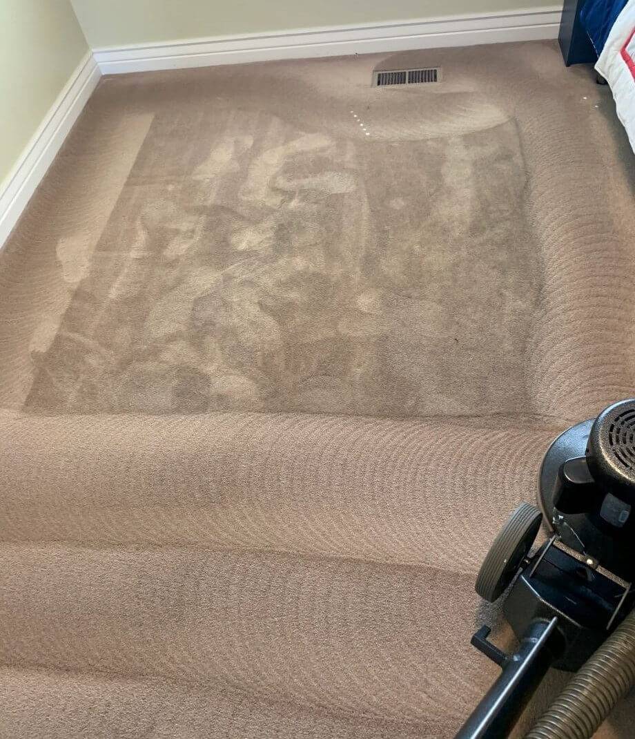 Carpet cleaning in Riverton