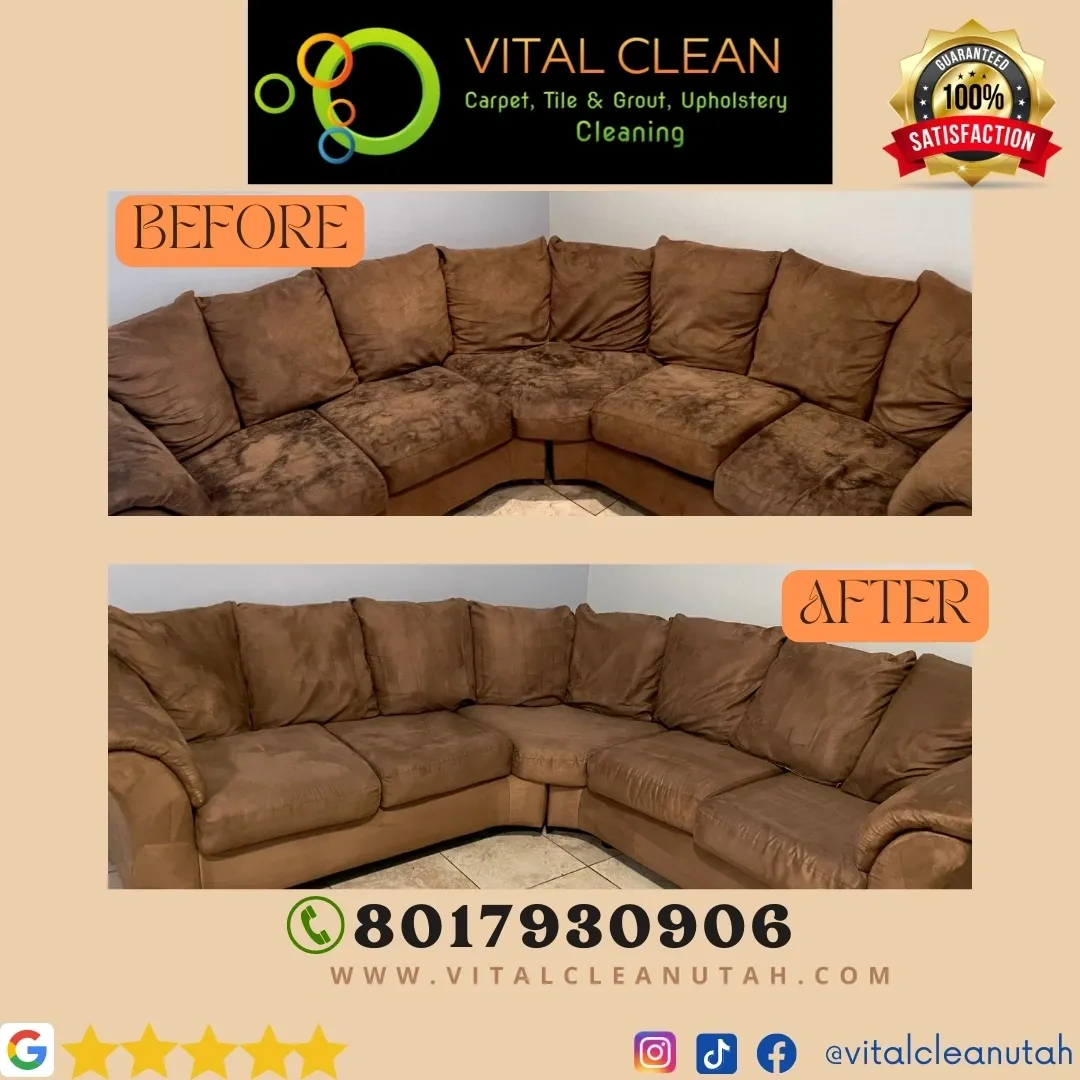 Professional Upholstery Cleaning by Vital Clean LLC