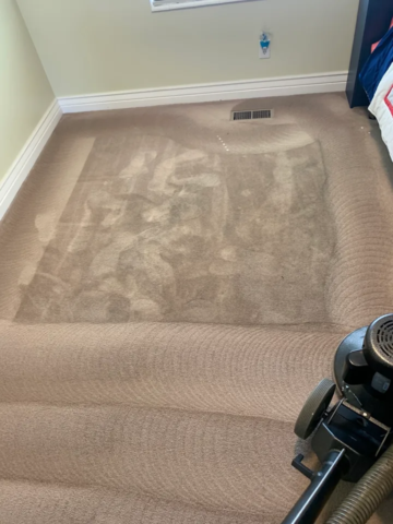 Residential Carpet cleaning services in Salt Lake City