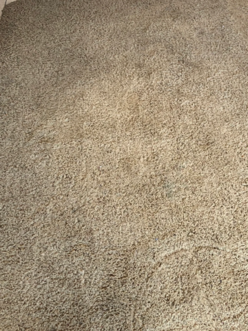 Residential Carpet cleaning services in Salt Lake City and Stain Removal in Riverton and Salt lake city