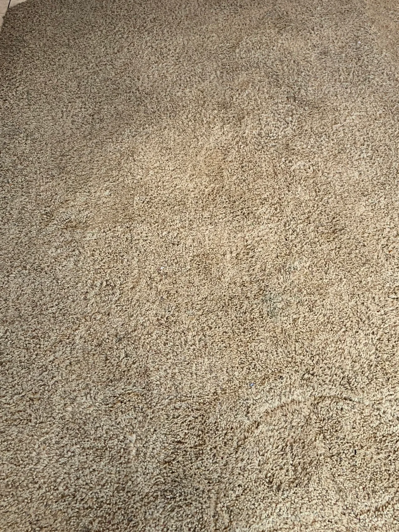 Residential Carpet cleaning services in Salt Lake City and Stain Removal in Riverton and Salt lake city