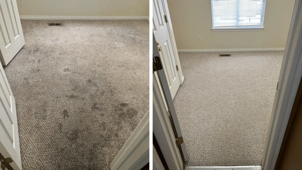 The Undeniable Importance of Carpet Protector After Professional Cleaning