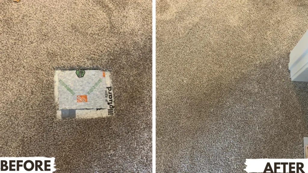 Carpet Cleaning vs Replacement Making the Right Choice