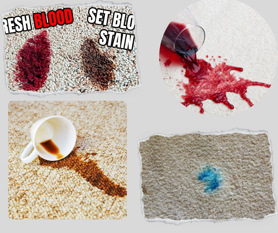 5 Common Ways to Remove Carpet Stains