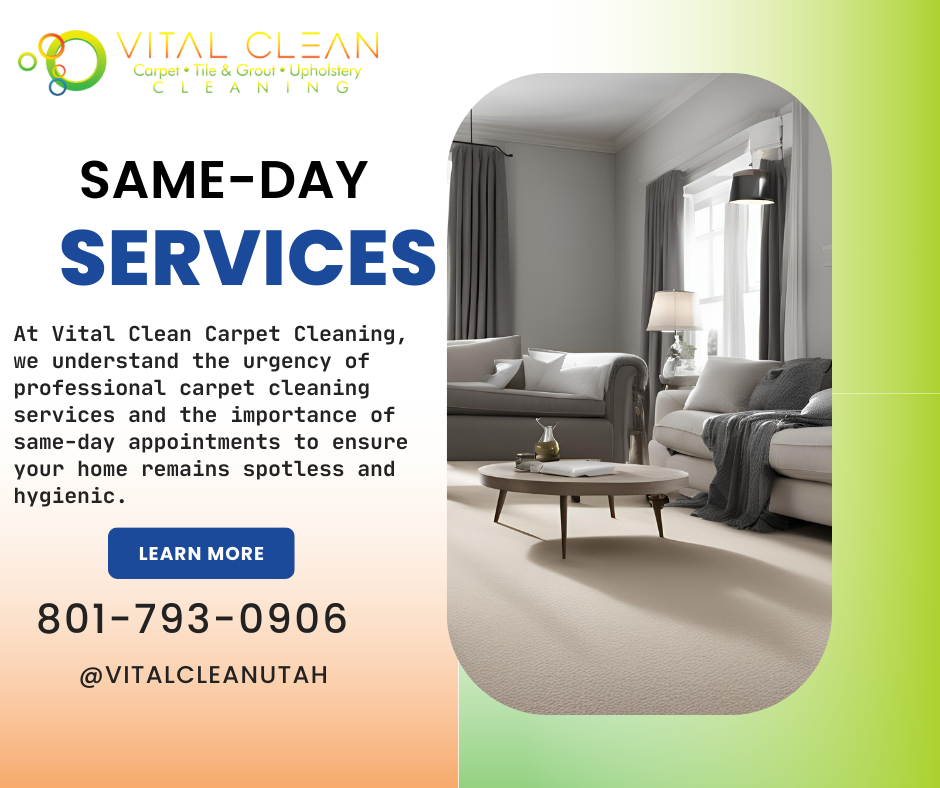 Same-Day Appointments for Professional Carpet Cleaning