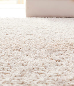 Fluffy, soft, and residue-free carpet achieved by Vital Clean using Hydroxidation and RX20 NEXTGEN Hot Water Extraction.