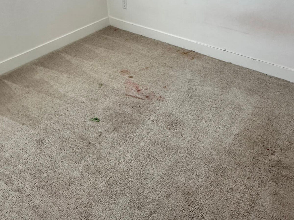 carpet stain removal Salt Lake City