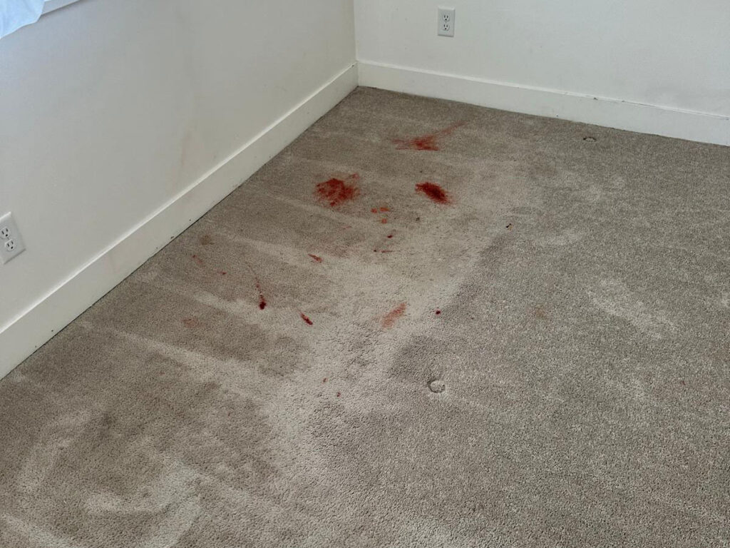 spot stain removal Salt Lake City