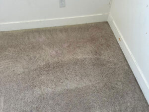 makeup stain removal from upholstery Utah County