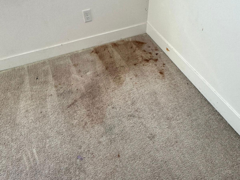 makeup stain removal from upholstery Utah County