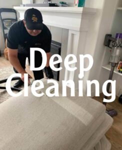 Professional couch cleaning company removing pet urine and stains safely