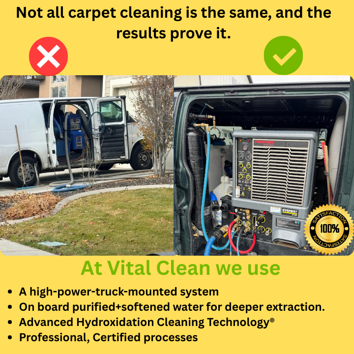 Vital Clean truck-mount system compared to a portable rental carpet cleaner, showing superior power and professional extraction.