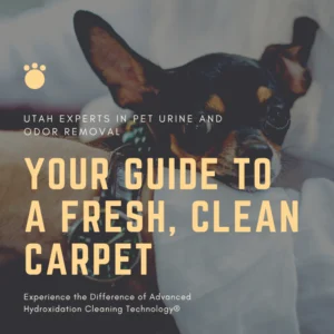 Dog in a Riverton, UT home with text overlay “Your Guide to a Fresh Clean Home,” representing pet urine odor removal solutions.