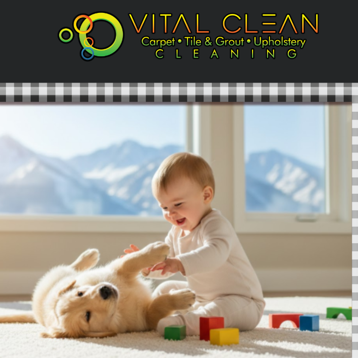Child playing on clean, non-toxic carpet after professional PFAS-aware cleaning service.