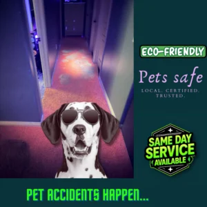 UV light revealing pet urine stains in hallway carpet before professional same day carpet cleaning service