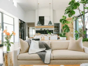 Removing pet urine improves indoor air and comfort.