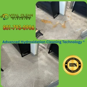 Proper extraction removes chemical residue and improves indoor air quality. Before and after photo of carpets cleaned with Vital Clean Carpet Cleaning