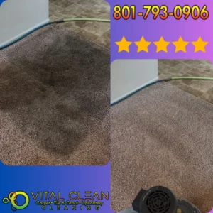 Carpet Restoration Before and After | Save Carpet Instead of Replacing. Before and after carpet restoration showing heavily soiled carpet cleaned and restored by Vital Clean Carpet Cleaning using professional hot water extraction and Advanced Hydroxidation Cleaning Technology®.