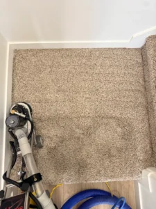 Before and after carpet cleaning demonstrating the difference between a basic shampoo and a Home Hygiene Reset™.