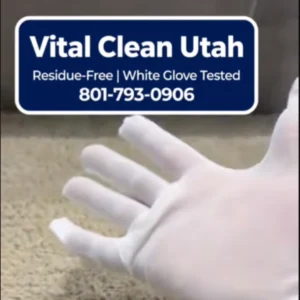 White glove carpet cleaning demonstration by Vital Clean Utah in Riverton