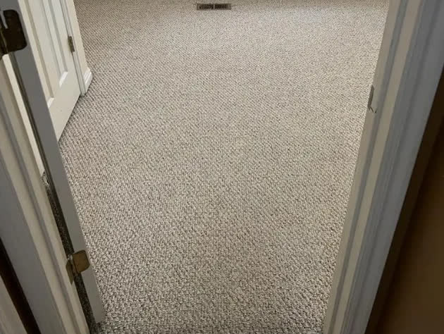 After: same carpet looking clean and refreshed after Vital Clean professional cleaning